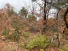 Ma-Cabane - Vente Terrain ROUMOULES, 37641 m²