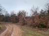Ma-Cabane - Vente Terrain ROUMOULES, 37641 m²