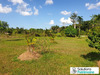 Ma-Cabane - Vente Terrain Roura, 0 m²