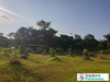 Ma-Cabane - Vente Terrain Roura, 0 m²