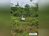Ma-Cabane - Vente Terrain Roura, 7976 m²