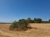 Ma-Cabane - Vente Terrain ROYBON, 8828 m²