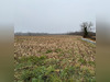 Ma-Cabane - Vente Terrain RUHANS, 6062 m²