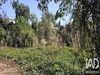 Ma-Cabane - Vente Terrain Ruoms, 3905 m²