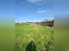 Ma-Cabane - Vente Terrain Sables d'Olonne, 670 m²