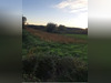 Ma-Cabane - Vente Terrain Sabran, 2000 m²