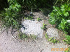 Ma-Cabane - Vente Terrain Saint-Étienne, 0 m²