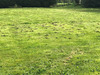 Ma-Cabane - Vente Terrain Saint-Andre-de-Cubzac, 503 m²