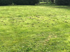 Ma-Cabane - Vente Terrain Saint-Andre-de-Cubzac, 503 m²