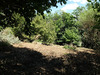 Ma-Cabane - Vente Terrain SAINT ANDRE DE MAJENCOULES, 1392 m²