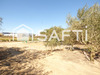 Ma-Cabane - Vente Terrain Saint-Andre-de-Sangonis, 458 m²
