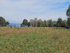 Ma-Cabane - Vente Terrain SAINT-ANDRE-LE-GAZ, 3877 m²
