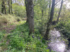 Ma-Cabane - Vente Terrain SAINT-ANDRE-TREIZE-VOIES, 3600 m²