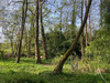 Ma-Cabane - Vente Terrain SAINT-ANDRE-TREIZE-VOIES, 3600 m²
