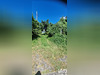 Ma-Cabane - Vente Terrain Saint-Benoît, 626 m²