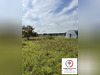 Ma-Cabane - Vente Terrain Saint-Benoît-sur-Loire, 3300 m²