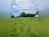 Ma-Cabane - Vente Terrain SAINT BERTHEVIN, 31800 m²