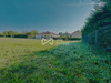 Ma-Cabane - Vente Terrain Saint-Bonnet-près-Riom, 949 m²