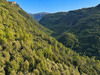 Ma-Cabane - Vente Terrain SAINT CEZAIRE SUR SIAGNE, 16190 m²