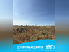 Ma-Cabane - Vente Terrain Saint-Chaptes, 640 m²