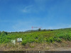 Ma-Cabane - Vente Terrain SAINT CHINIAN, 4000 m²