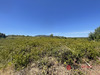 Ma-Cabane - Vente Terrain SAINT CHINIAN, 4000 m²