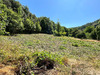 Ma-Cabane - Vente Terrain SAINT-COUAT-DU-RAZES, 2274 m²