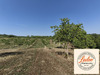 Ma-Cabane - Vente Terrain Saint-Cybranet, 3593 m²