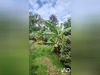 Ma-Cabane - Vente Terrain Saint-Cyr-sur-Loire, 739 m²
