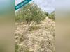 Ma-Cabane - Vente Terrain Saint-Cyr-sur-Mer, 4400 m²