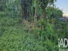 Ma-Cabane - Vente Terrain Saint-Denis, 500 m²
