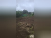 Ma-Cabane - Vente Terrain Saint-Denis, 491 m²