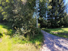 Ma-Cabane - Vente Terrain Saint-Dié-des-Vosges, 1528 m²