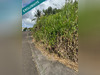 Ma-Cabane - Vente Terrain Saint-Esprit, 655 m²