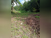 Ma-Cabane - Vente Terrain SAINT ESPRIT, 939 m²