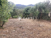 Ma-Cabane - Vente Terrain Saint-Etienne-de-Gourgas, 277 m²