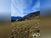 Ma-Cabane - Vente Terrain Saint-Ferréol, 1153 m²