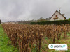 Ma-Cabane - Vente Terrain Saint-Front-de-Pradoux, 2930 m²