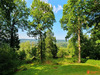 Ma-Cabane - Vente Terrain Saint-Gatien-des-Bois, 2941 m²