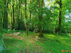 Ma-Cabane - Vente Terrain Saint-Gatien-des-Bois, 2941 m²