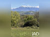 Ma-Cabane - Vente Terrain Saint-Gaudens, 4163 m²