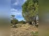 Ma-Cabane - Vente Terrain Saint-Georges-d'Orques, 1000 m²