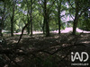 Ma-Cabane - Vente Terrain Saint-Geours-de-Maremne, 3802 m²