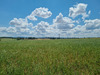 Ma-Cabane - Vente Terrain SAINT-GERAND-LE-PUY, 1950 m²