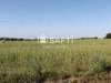 Ma-Cabane - Vente Terrain Saint-Gerand-le-Puy, 1950 m²