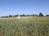 Ma-Cabane - Vente Terrain Saint-Gerand-le-Puy, 1950 m²
