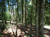 Ma-Cabane - Vente Terrain SAINT GERMAIN DES PRES, 2663 m²