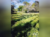 Ma-Cabane - Vente Terrain Saint-Hilaire-de-Riez, 1250 m²