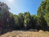 Ma-Cabane - Vente Terrain SAINT-HILAIRE-DE-RIEZ, 1453 m²