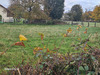 Ma-Cabane - Vente Terrain SAINT-JACQUES-D'AMBUR, 1595 m²